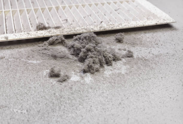 Best HVAC Maintenance and Cleaning  in Winona, MN