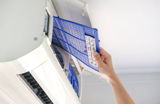 Best Home Air Vent Cleaning  in Winona, MN