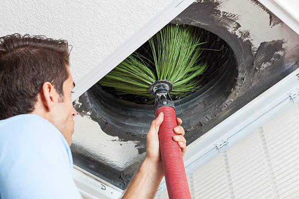 Best HVAC System Cleaning  in Winona, MN