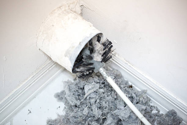 Best Ventilation Cleaning Services  in Winona, MN