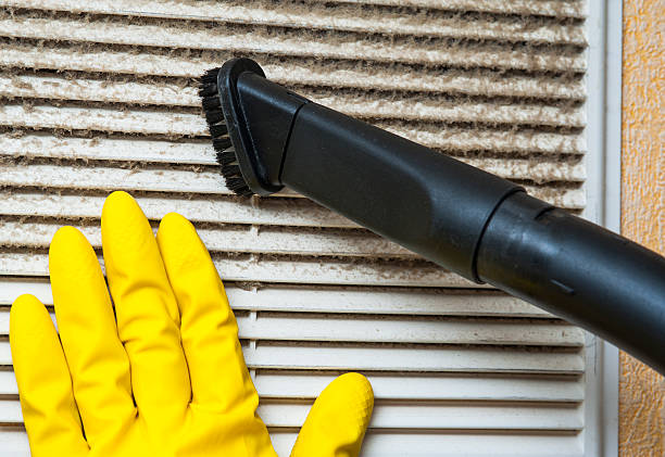 Best Air Vent Cleaning Services  in Winona, MN